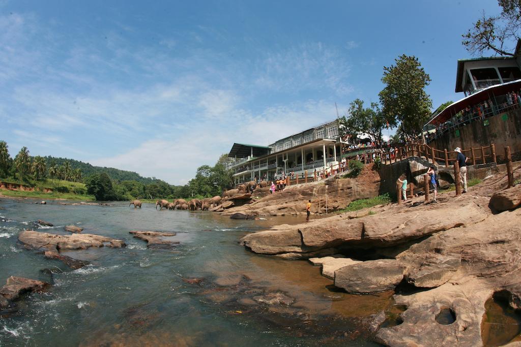 Hotel Pinnalanda - New Deal! Half Off Airport Pickups Available Pinnawala  Eksteriør bilde