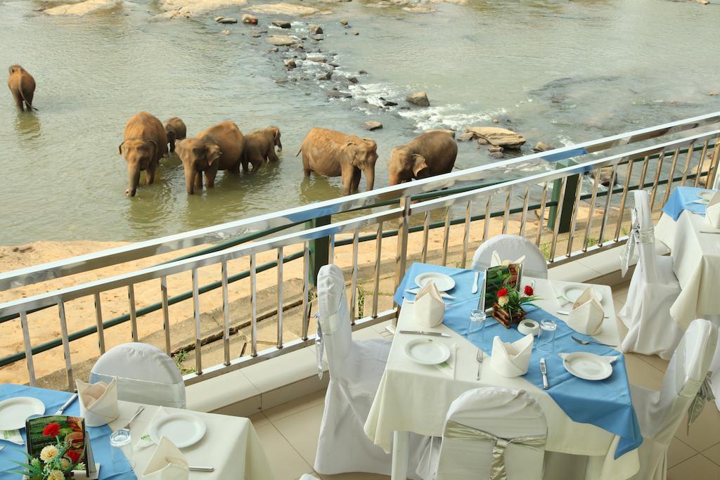 Hotel Pinnalanda - New Deal! Half Off Airport Pickups Available Pinnawala  Eksteriør bilde